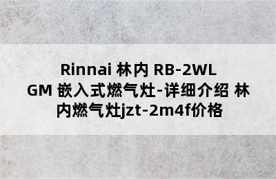 Rinnai 林内 RB-2WLGM 嵌入式燃气灶-详细介绍 林内燃气灶jzt-2m4f价格